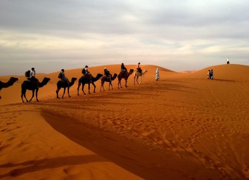 desert caravan dune ride