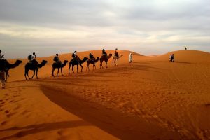 desert caravan dune ride